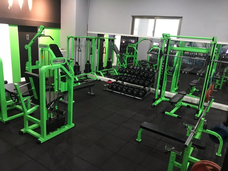 Y.GYM 이미지