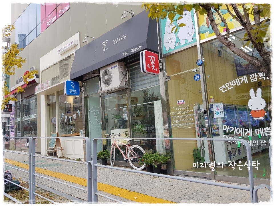 꽃그리다바이엘라 이미지
