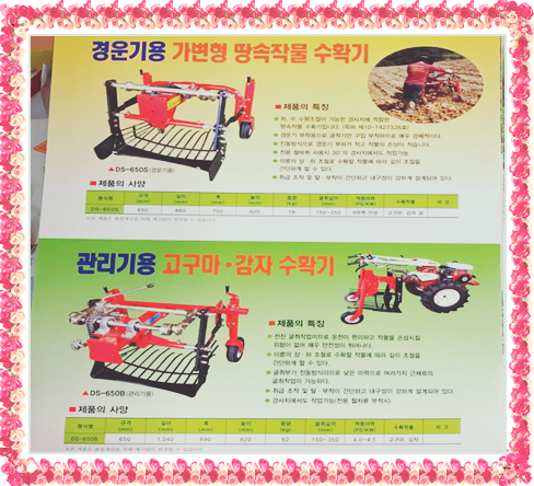 에이씨엠 이미지