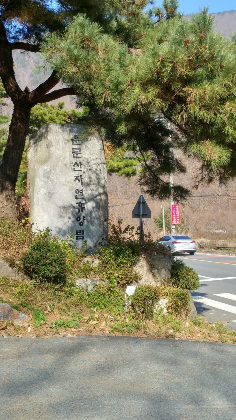 함지성 이미지