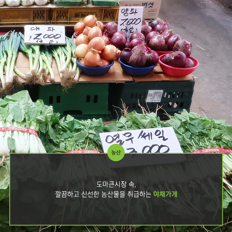 계룡농산 이미지