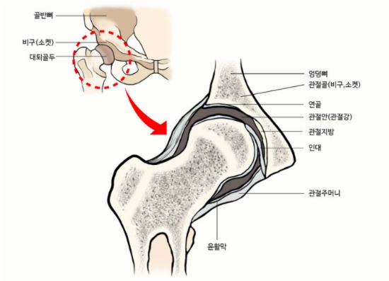 라온PT 이미지