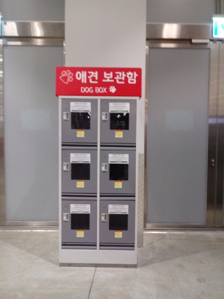 롯데쇼핑토이저러스 이미지