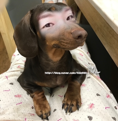 플라워우리 이미지