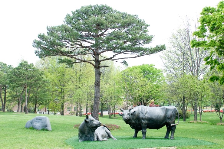 천안연암대학교 이미지