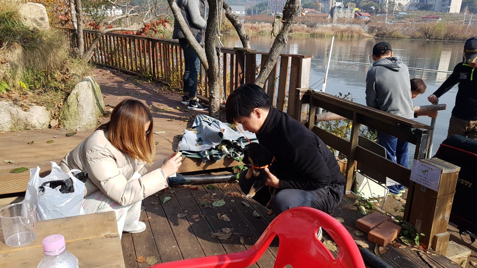 꽃뜨레꽃차 이미지