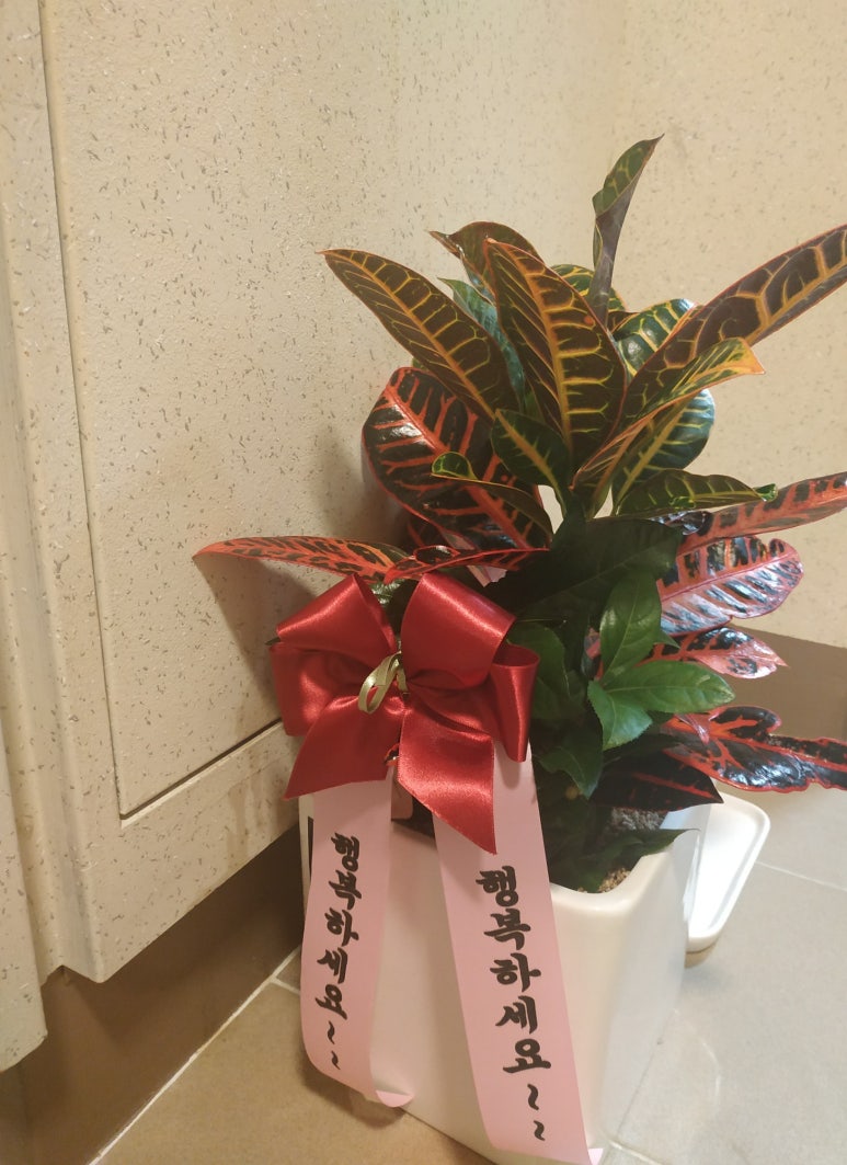 띵동플라워 이미지
