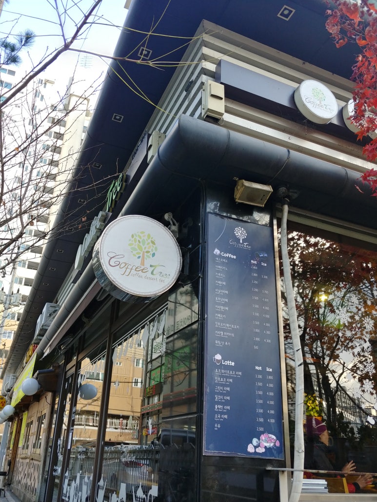 커피트리 이미지