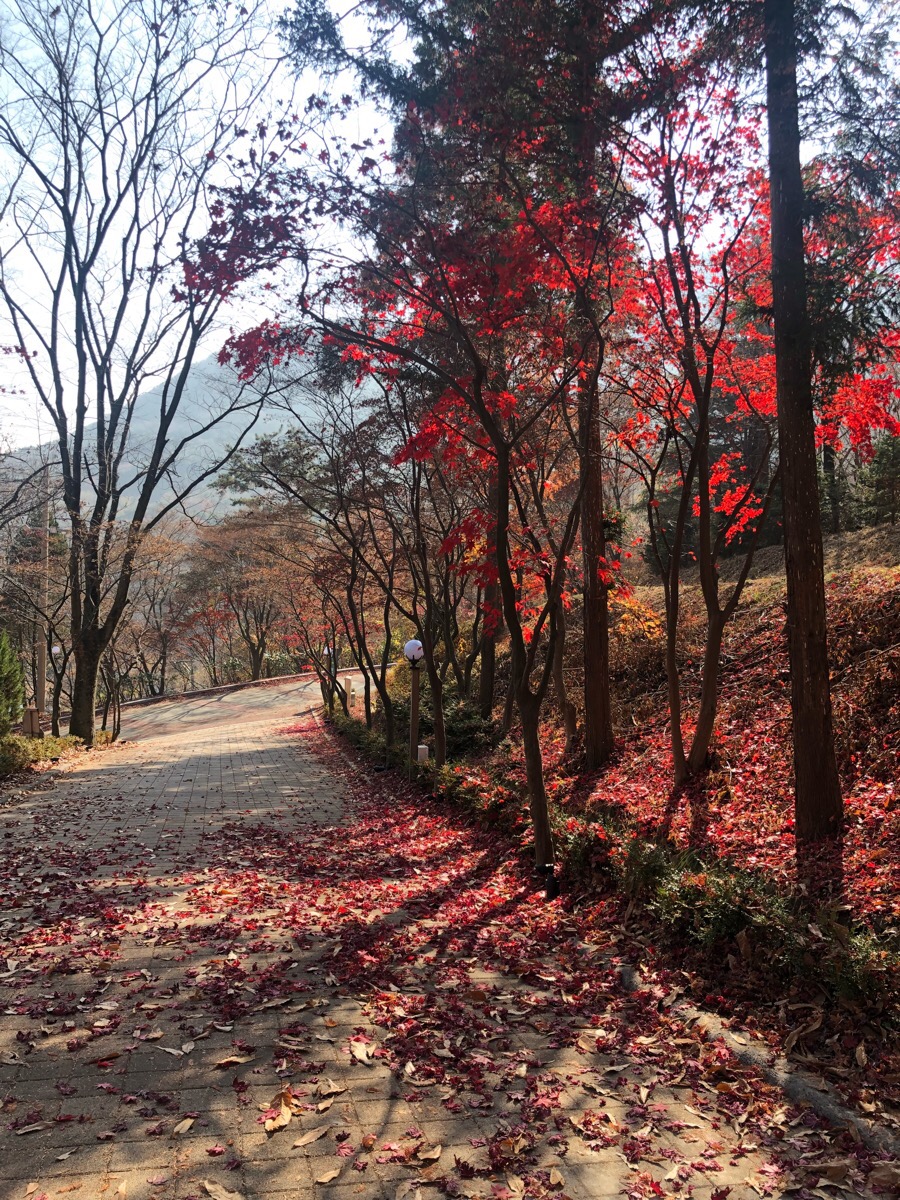 (주)대구우야지막창 이미지