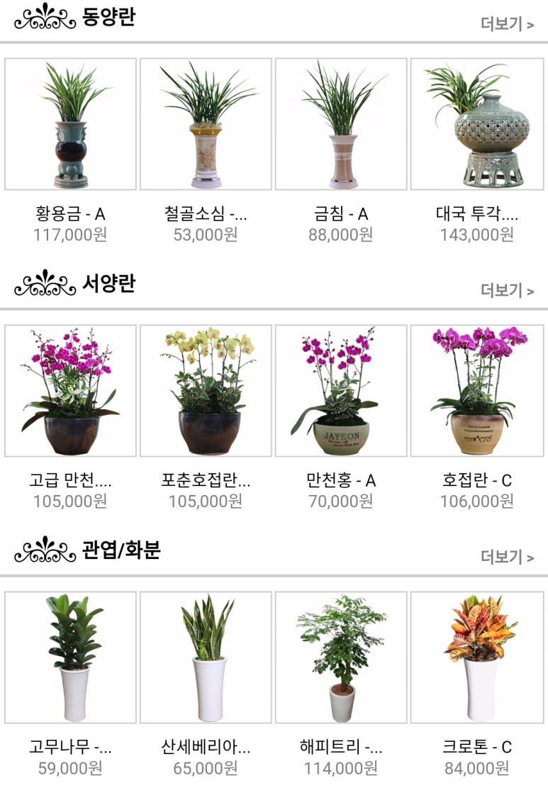 띵동플라워 이미지
