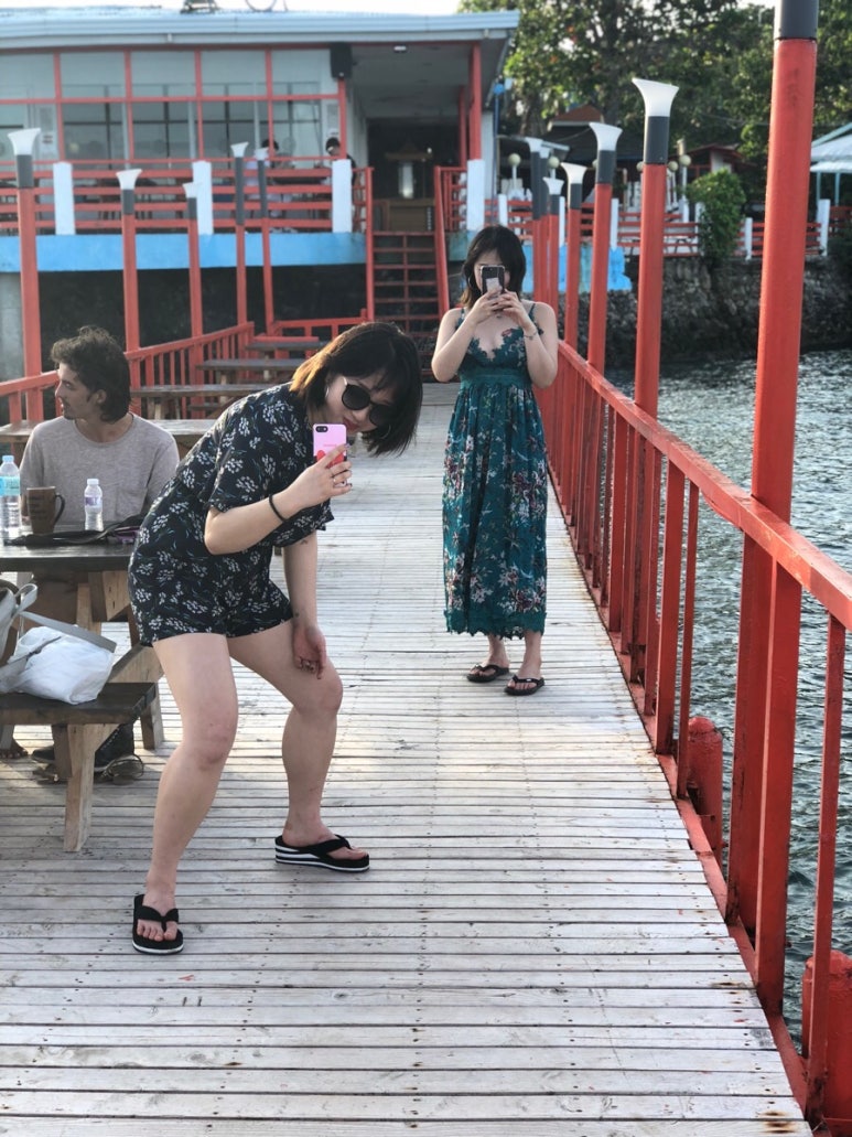 지지몰 이미지