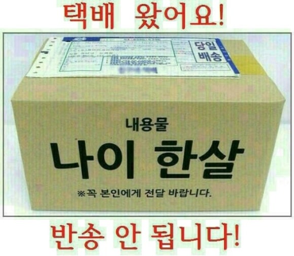 드림카오디오네비매립 이미지