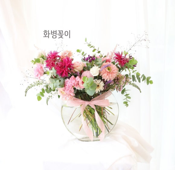 비인풀블룸 이미지