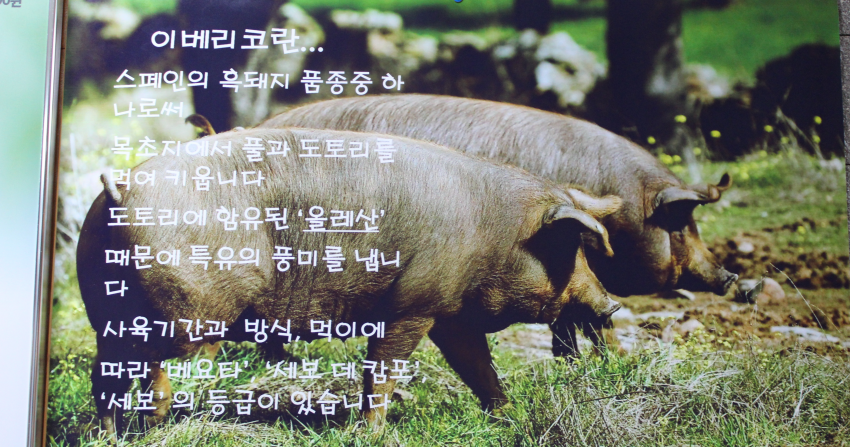 그린쿡 & 한우가 사진 5