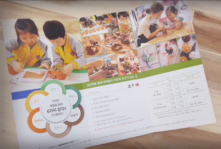 다육식물체험장 이미지