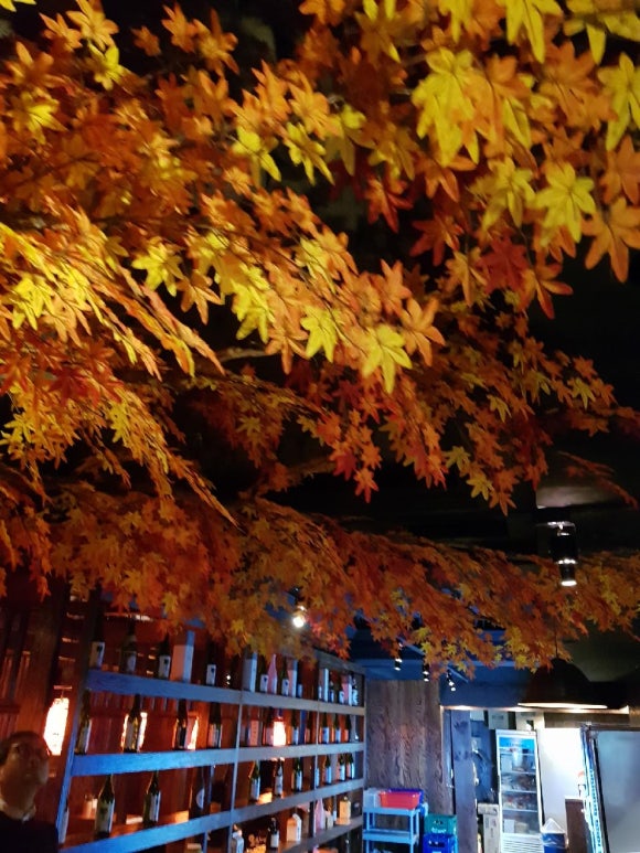 플라디오 이미지