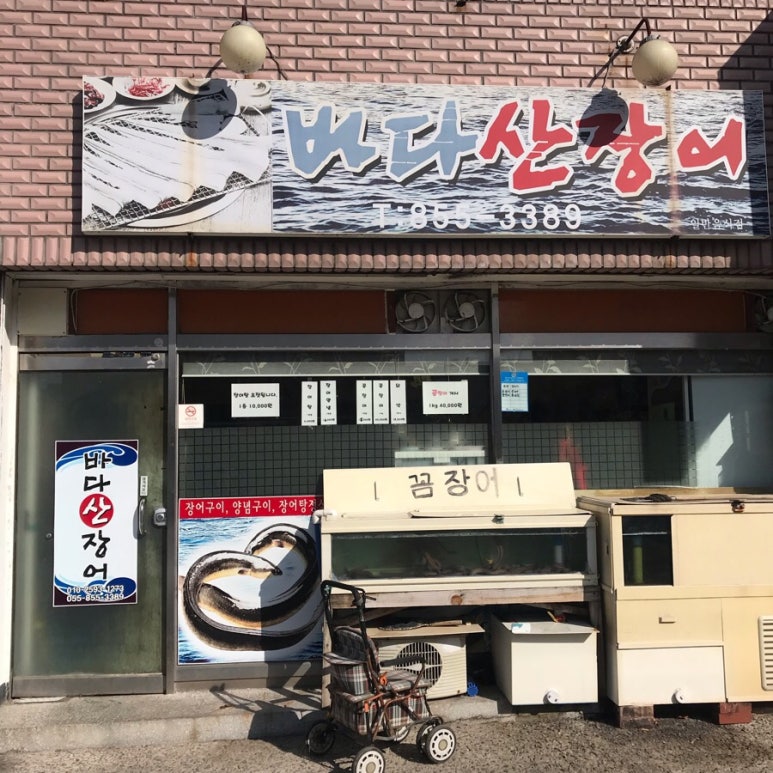 바다산장어 이미지