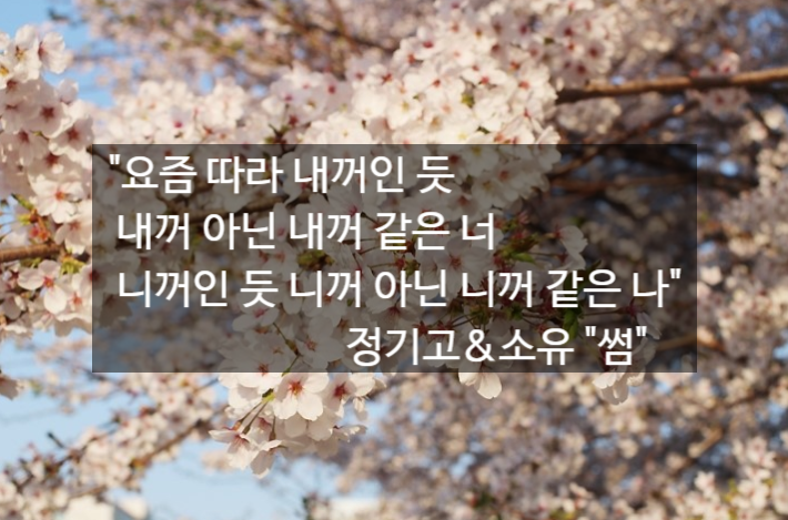썸앤정 이미지