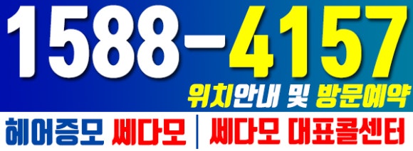 쎄다모 이미지