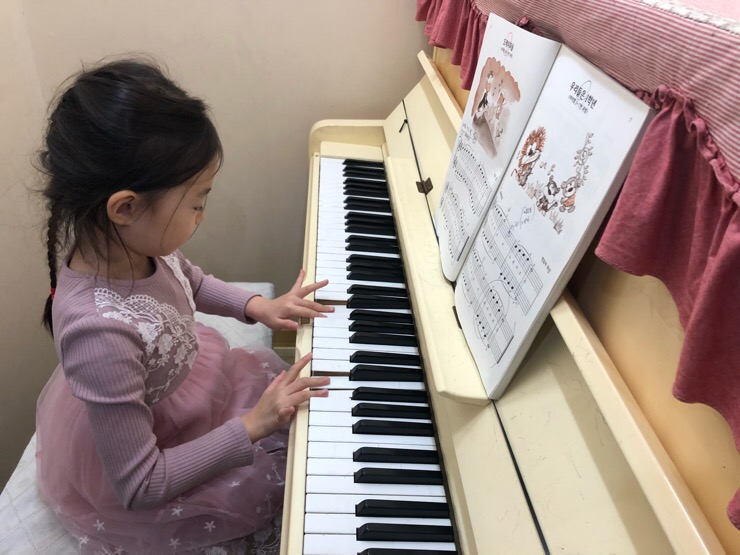 아마데우스악기 이미지
