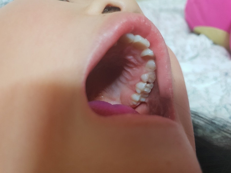 새싹어린이치과의원 이미지