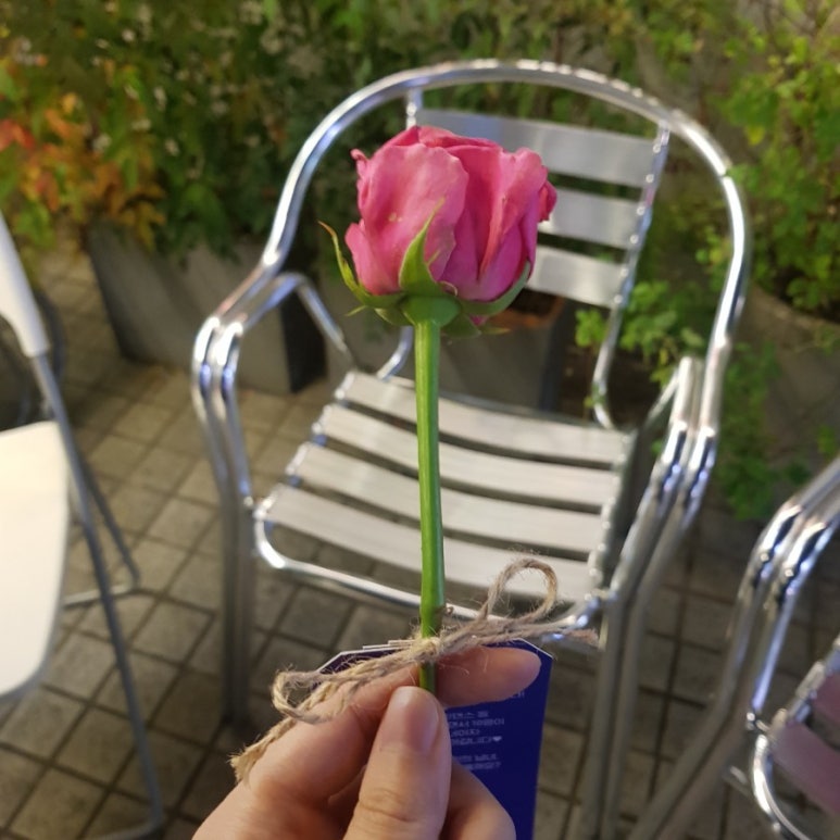 꽃피오니&카페 이미지