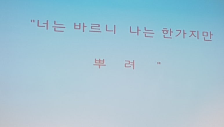 라셀 이미지