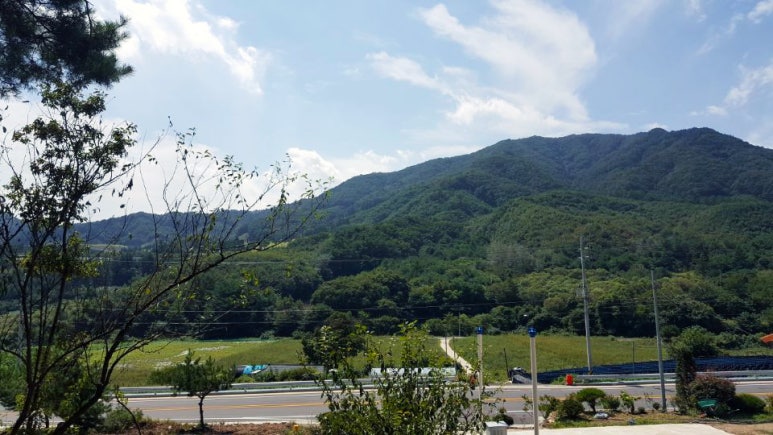 카페힐 이미지