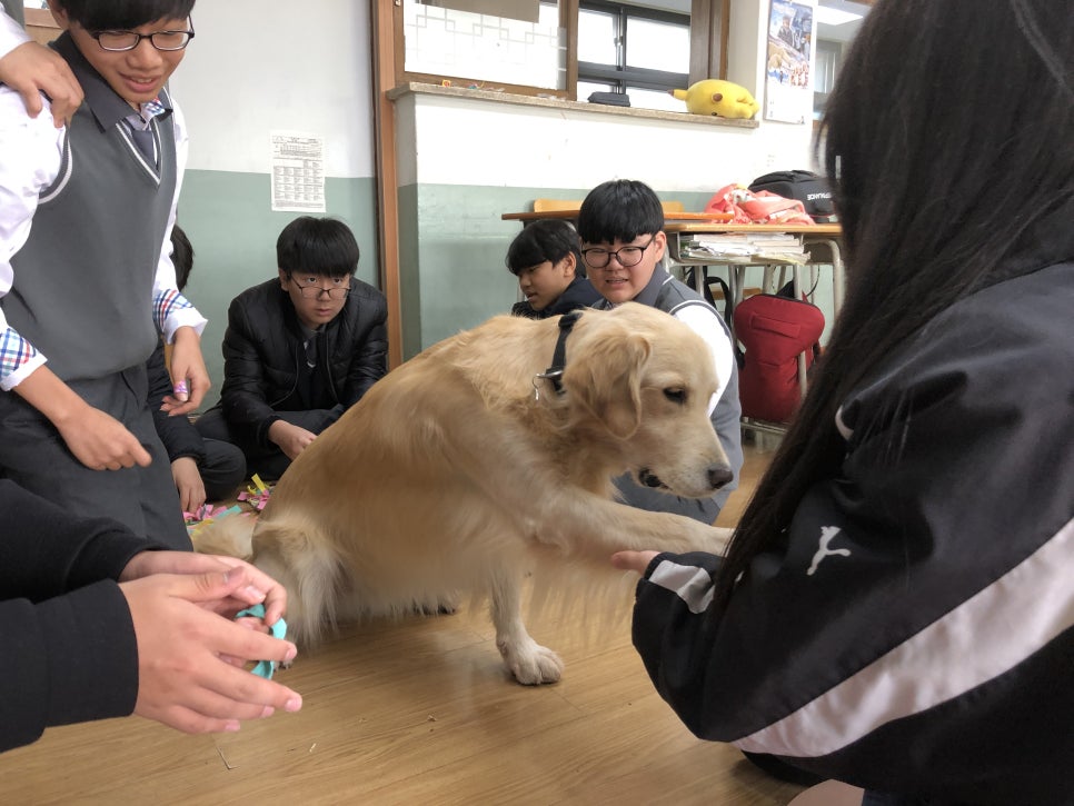 부천부곡중학교 이미지