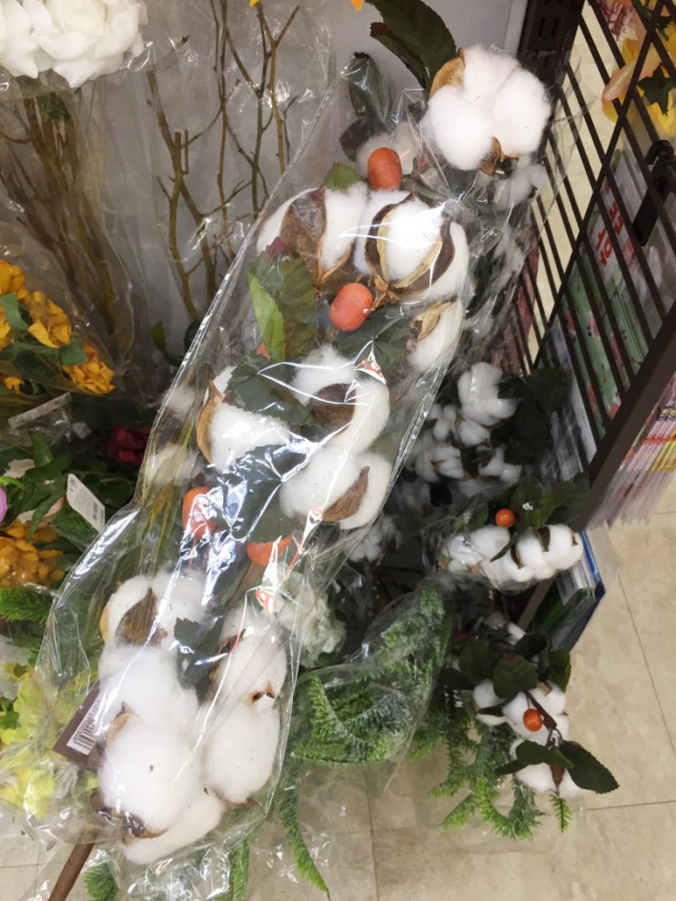다이소전주 이미지