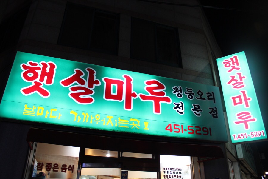햇살마루청둥오리 이미지