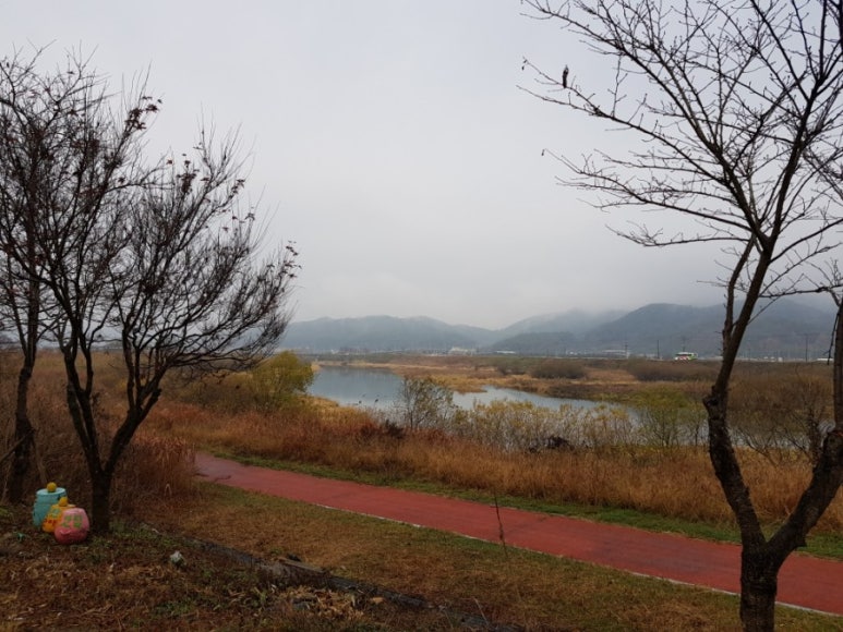 황룡가든 이미지