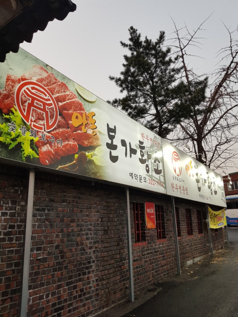 안동본가황소 이미지