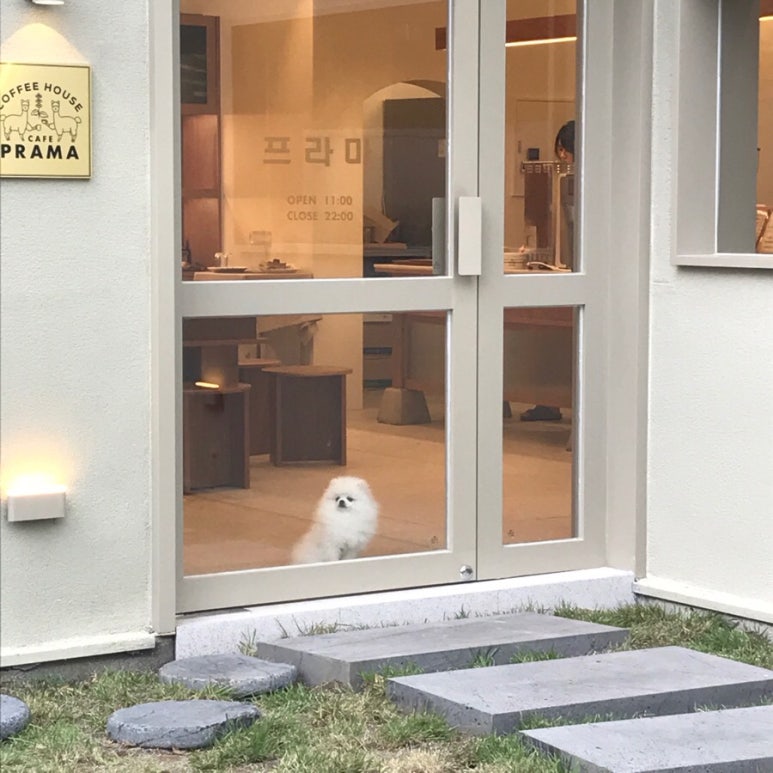 프라마 이미지