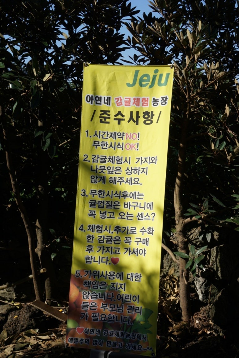 아연네감귤체험농장 이미지