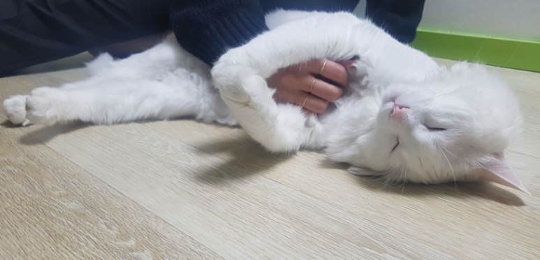 하회로가는펜션형민박 이미지