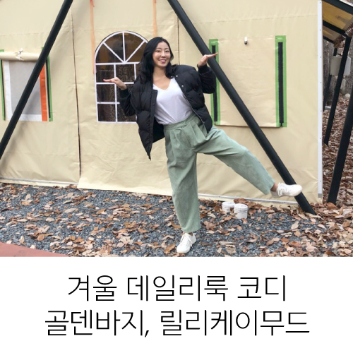 릴리케이 이미지