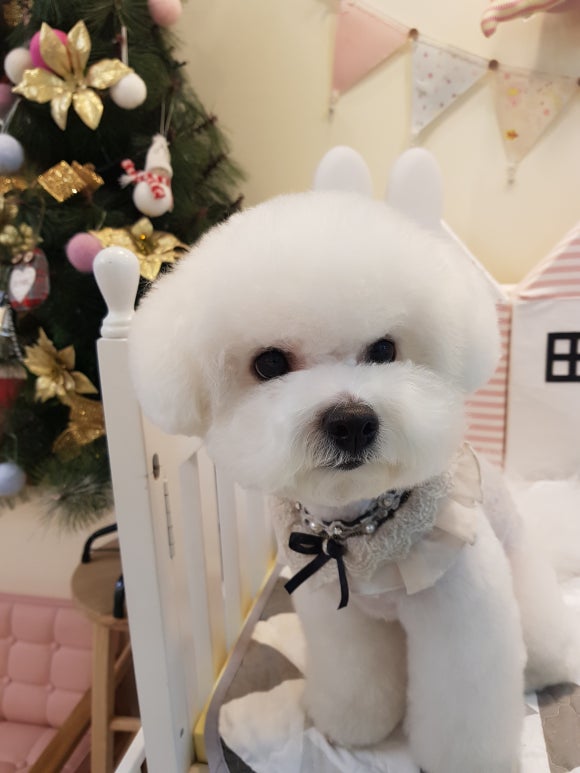 문정미용타운 이미지