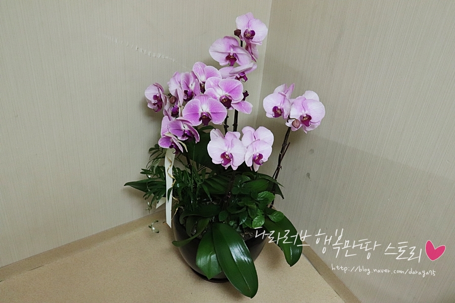 (주)삼오관리 이미지