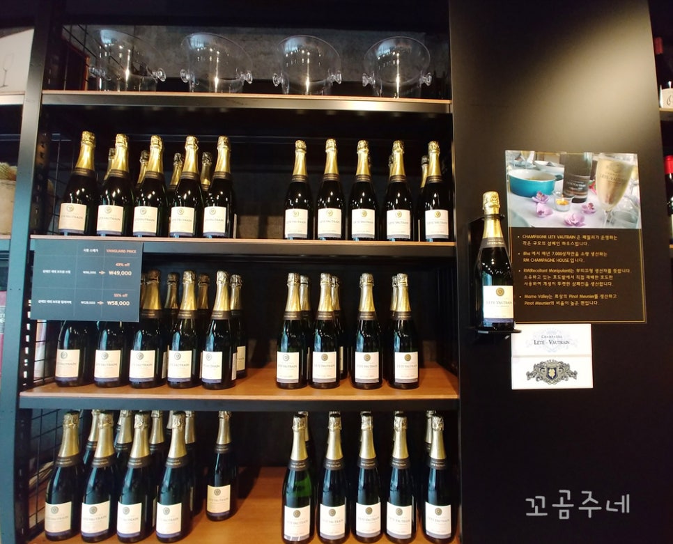 뱅가드와인머천트 이미지