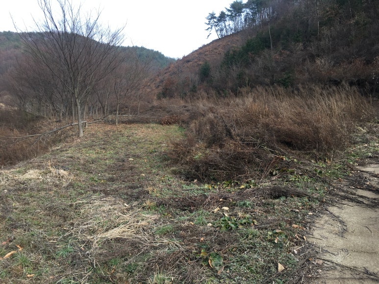 구룡리(진안) 이미지