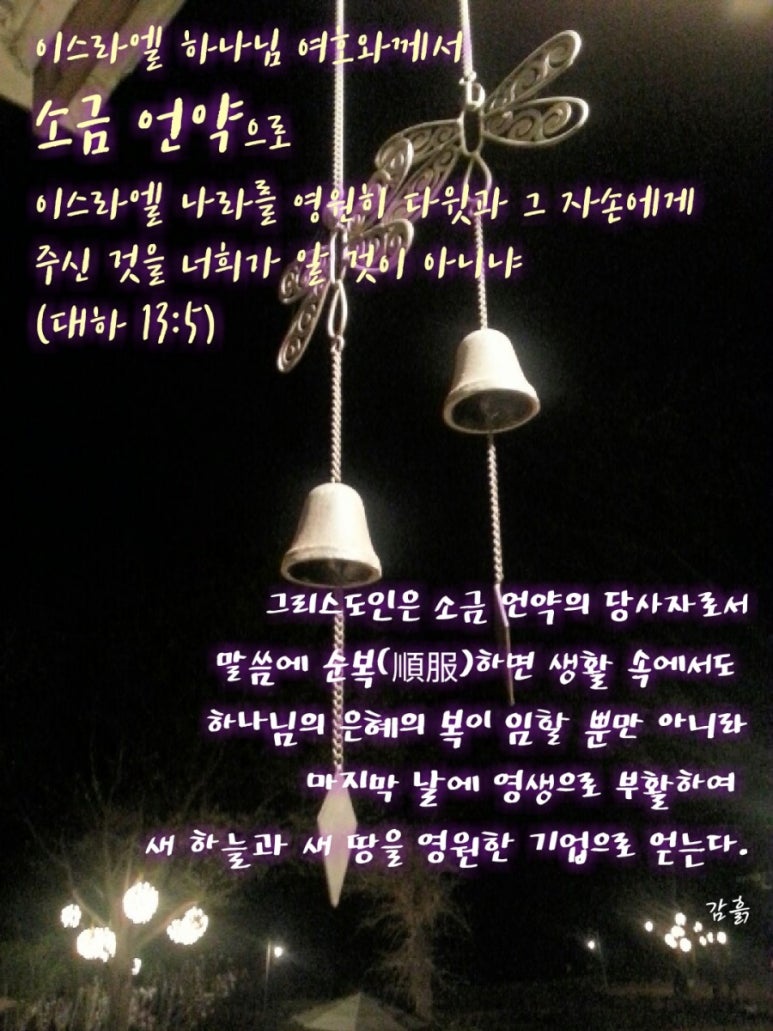 소금왕국 이미지
