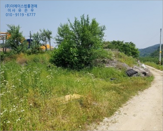 영오리 이미지