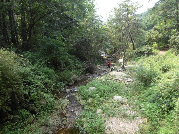 동산농장 이미지