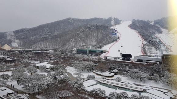 세성초등학교 이미지