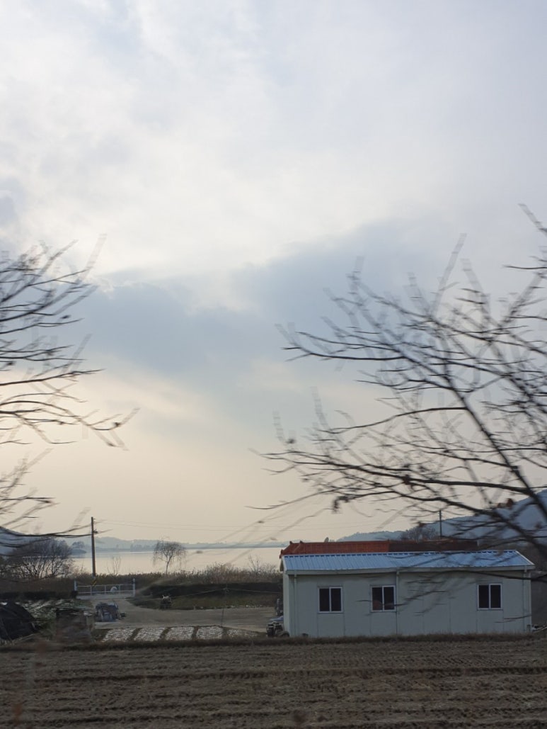 화산참붕어찜 이미지