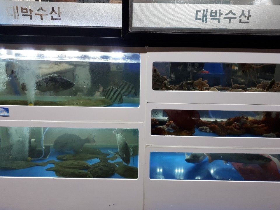 광어2마리 이미지