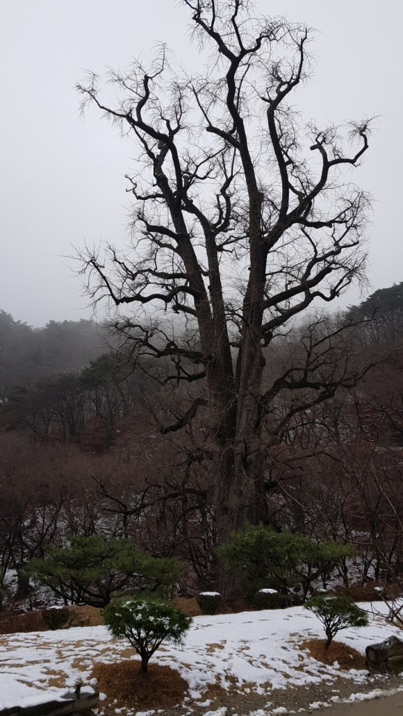 세성초등학교 이미지