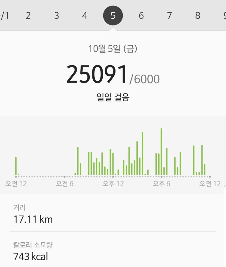 하나미 이미지