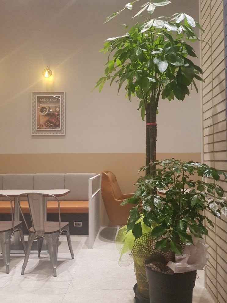 커피니평화모악점 이미지